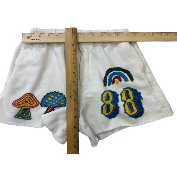 MOTHER Jeans The Quickie Roller Short Fray Sunshiney Day Sz S - Picture 13 of 14